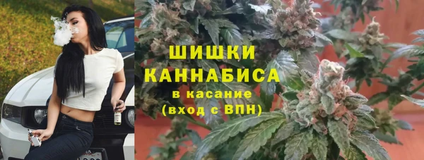 дмт Володарск